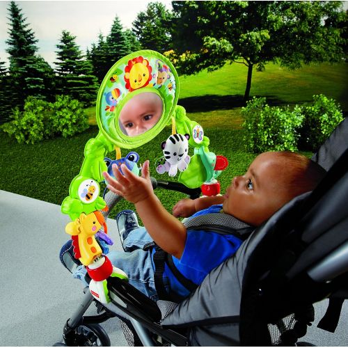  Fisher-Price Deluxe Stroller Activity Center