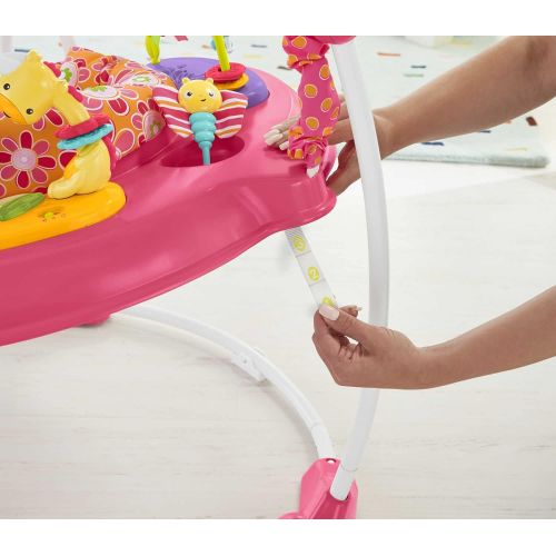  Fisher-Price Jumperoo: Pink Petals