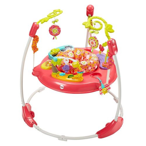  Fisher-Price Jumperoo: Pink Petals