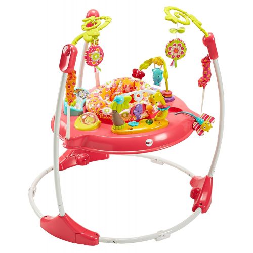  Fisher-Price Jumperoo: Pink Petals