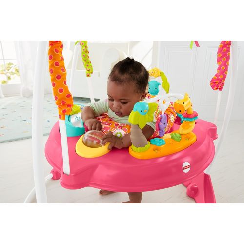  Fisher-Price Jumperoo: Pink Petals