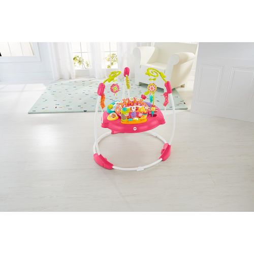  Fisher-Price Jumperoo: Pink Petals