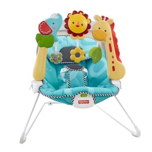  Fisher-Price Bouncer: 2-in-1 Sensory Stages