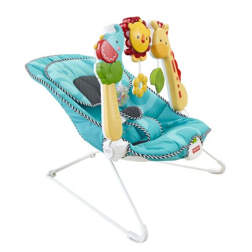  Fisher-Price Bouncer: 2-in-1 Sensory Stages