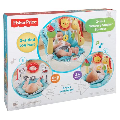  Fisher-Price Bouncer: 2-in-1 Sensory Stages