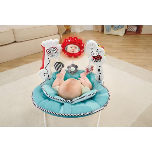  Fisher-Price Bouncer: 2-in-1 Sensory Stages