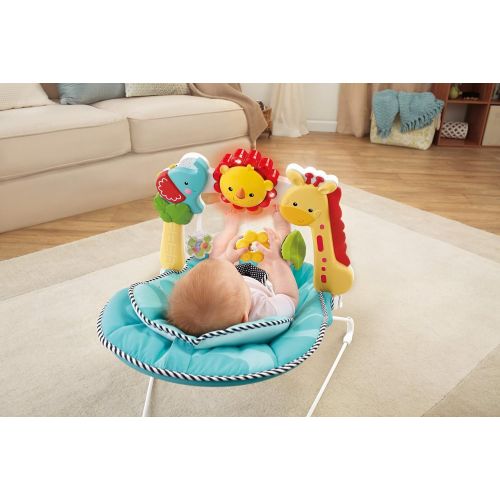  Fisher-Price Bouncer: 2-in-1 Sensory Stages