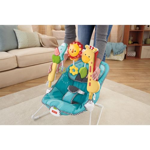  Fisher-Price Bouncer: 2-in-1 Sensory Stages