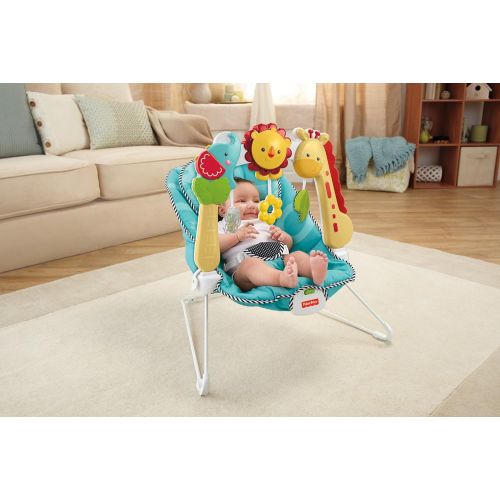  Fisher-Price Bouncer: 2-in-1 Sensory Stages