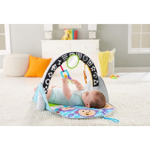  Fisher-Price 2-in-1 Flip & Fun Activity Gym