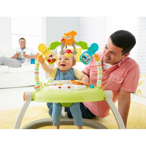  Fisher-Price Woodland Friends SpaceSaver Jumperoo