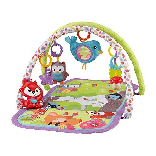  Fisher-Price 3-in-1 Musical Activity Gym, Woodland Friends