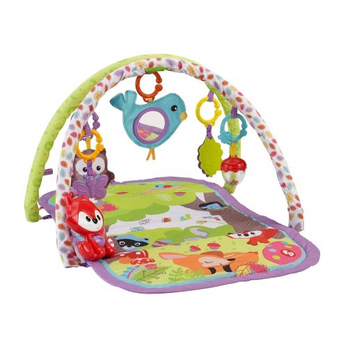  Fisher-Price 3-in-1 Musical Activity Gym, Woodland Friends