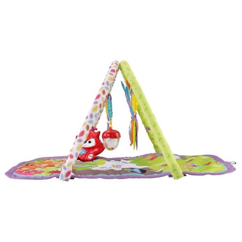  Fisher-Price 3-in-1 Musical Activity Gym, Woodland Friends