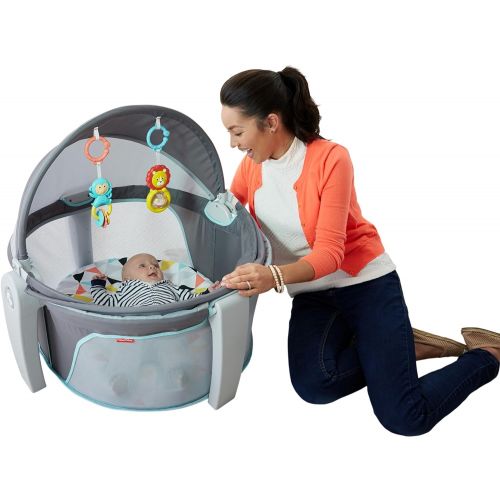  Fisher-Price On-the-Go Baby Dome, Grey/Blue/Yellow/White