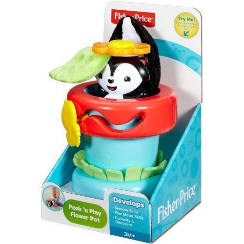  Fisher-Price Peek n Play Flower Pot