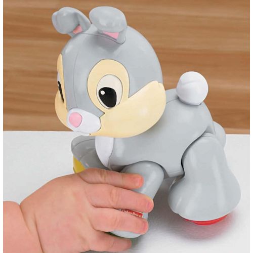  Fisher-Price Disney Baby Thumper Amazing Animals