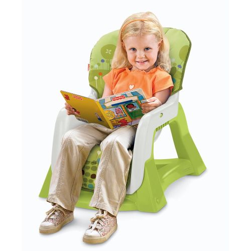  Fisher-Price EZ Bundle 4-in-1 Baby System (Discontinued by Manufacturer)