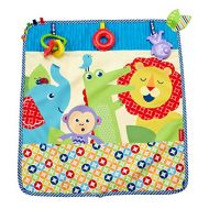 Fisher-Price On-the-Go Activity Throw