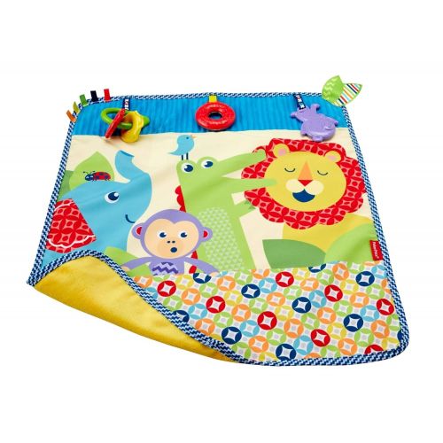  Fisher-Price On-the-Go Activity Throw