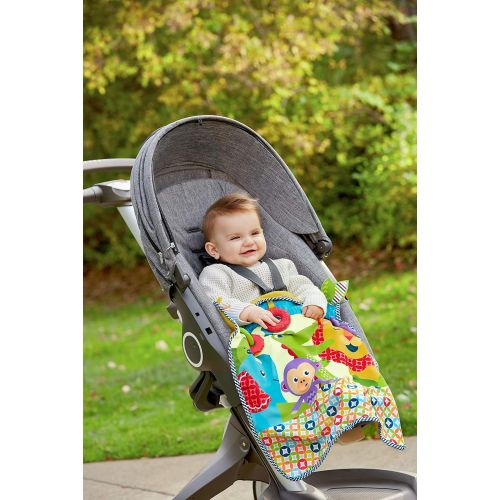  Fisher-Price On-the-Go Activity Throw