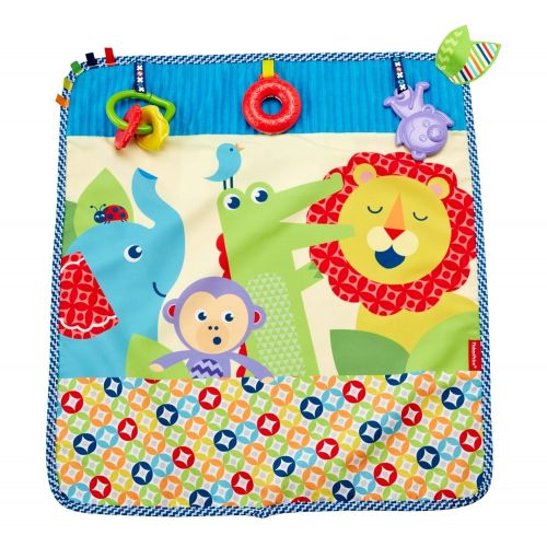  Fisher-Price On-the-Go Activity Throw