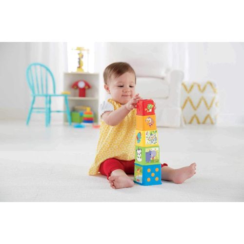  Fisher-Price Stack and Explore Blocks