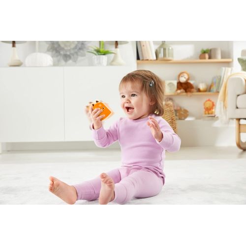  Fisher-Price Stack and Rattle Birdie, Baby Rattle and Stacking Toy