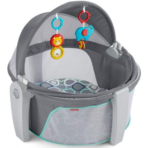  Fisher-Price On-The-Go Baby Dome, Multi