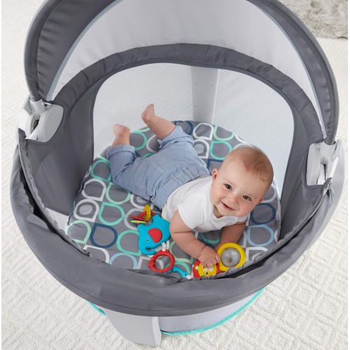  Fisher-Price On-The-Go Baby Dome, Multi