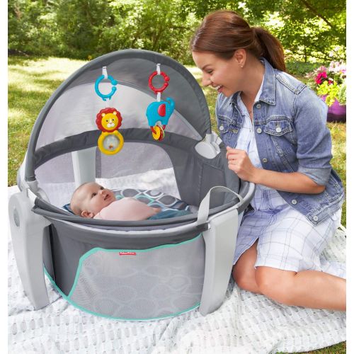  Fisher-Price On-The-Go Baby Dome, Multi