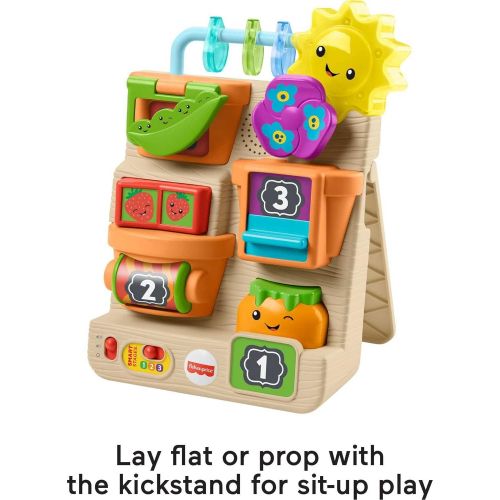  Fisher-Price Laugh & Learn Peek & Play Busy Garden