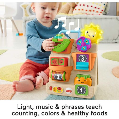  Fisher-Price Laugh & Learn Peek & Play Busy Garden