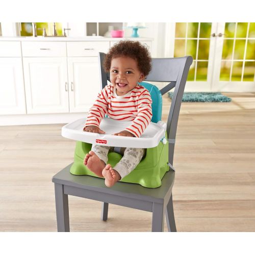  Fisher-Price Healthy Care Booster Seat