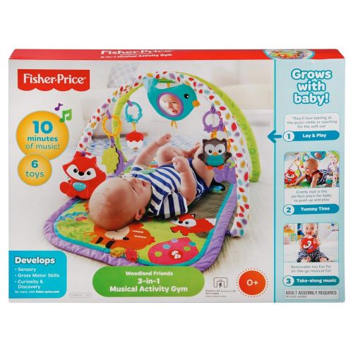  Fisher-Price 3-in-1 Musical Activity Gym