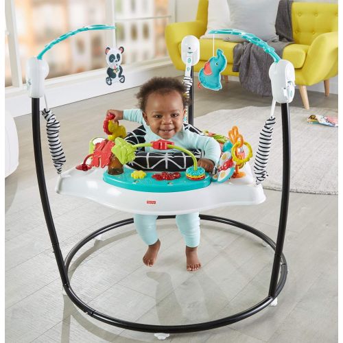  Visit the Fisher-Price Store Fisher-Price Animal Wonders Jumperoo, White