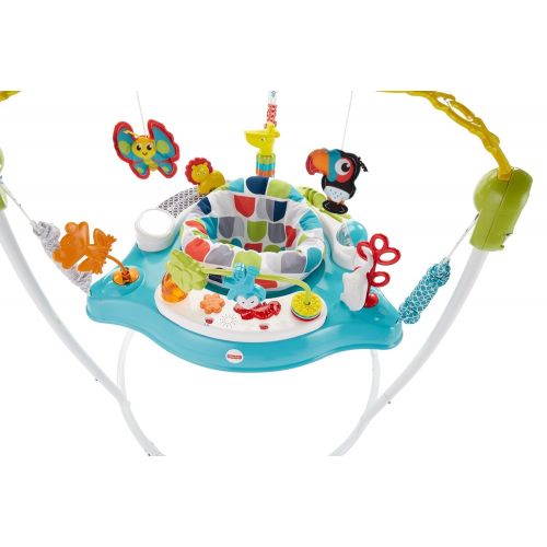  Visit the Fisher-Price Store Fisher-Price Color Climbers Jumperoo