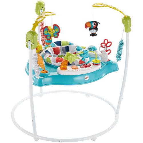  Visit the Fisher-Price Store Fisher-Price Color Climbers Jumperoo