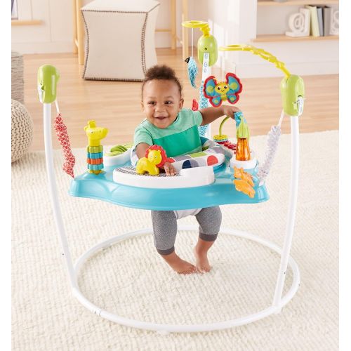  Visit the Fisher-Price Store Fisher-Price Color Climbers Jumperoo
