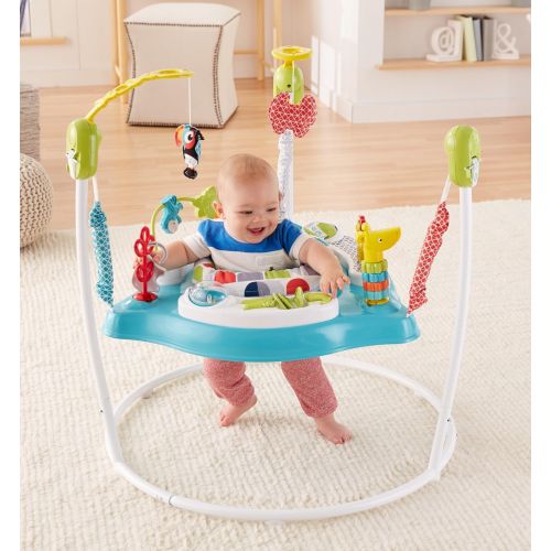  Visit the Fisher-Price Store Fisher-Price Color Climbers Jumperoo