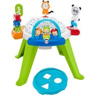 Visit the Fisher-Price Store Fisher-Price 3-in-1 Spin & Sort Activity Center