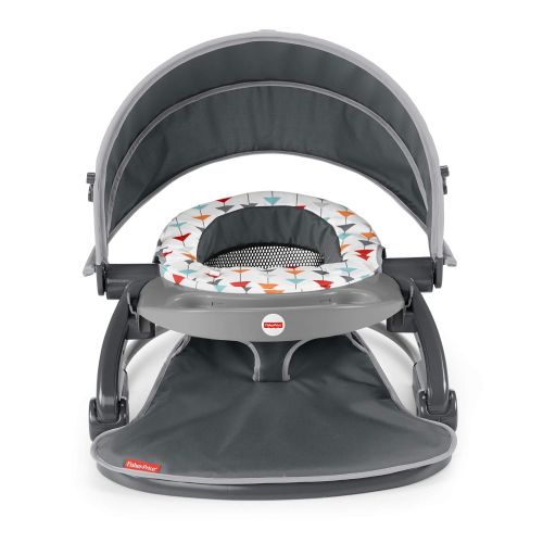  Fisher-Price On-The-Go Sit-Me-Up Floor Seat