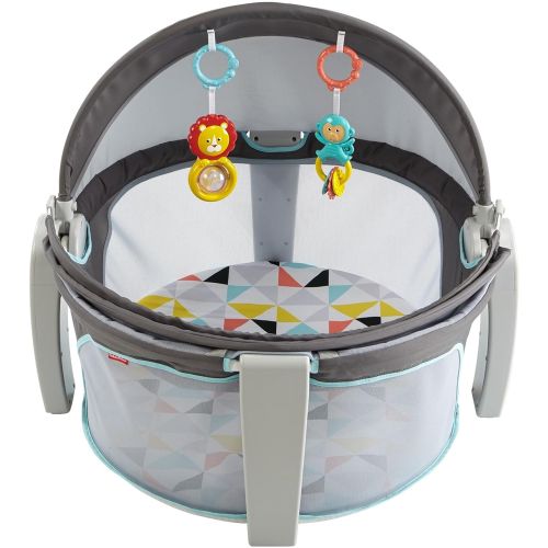  Visit the Fisher-Price Store Fisher-Price On-the-Go Baby Dome, Grey/Blue/Yellow/White