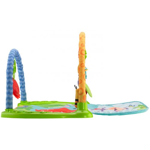  Visit the Fisher-Price Store Fisher-Price Link n Play Musical Gym