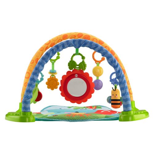  Visit the Fisher-Price Store Fisher-Price Link n Play Musical Gym