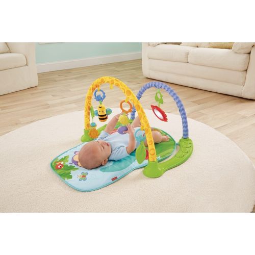  Visit the Fisher-Price Store Fisher-Price Link n Play Musical Gym