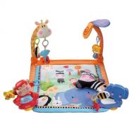 Visit the Fisher-Price Store Fisher-Price Discover n Grow Open Play Musical Gym