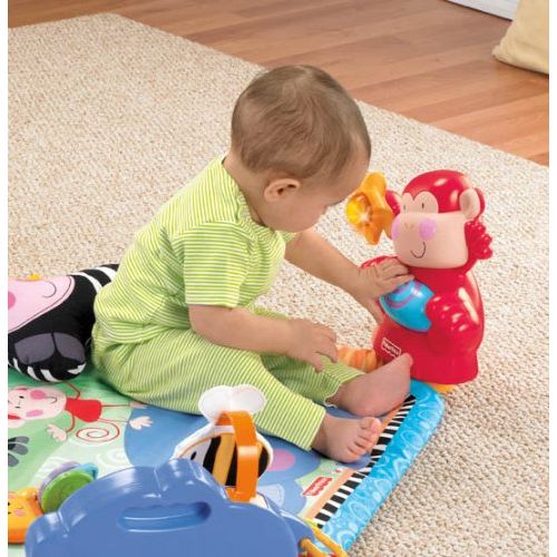  Visit the Fisher-Price Store Fisher-Price Discover n Grow Open Play Musical Gym