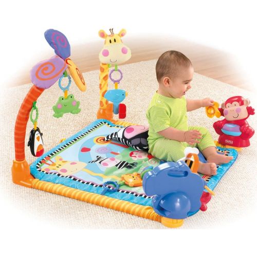  Visit the Fisher-Price Store Fisher-Price Discover n Grow Open Play Musical Gym