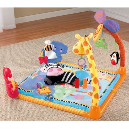  Visit the Fisher-Price Store Fisher-Price Discover n Grow Open Play Musical Gym
